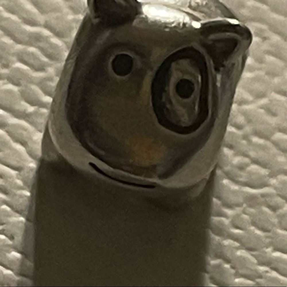 Spot Pandora charm